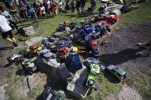Wildlife Experience Amstetten 2019