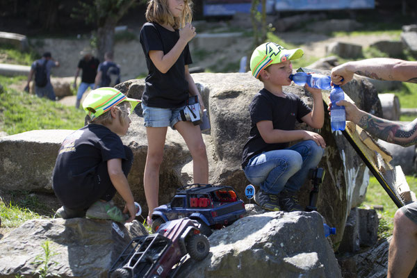 Wildlife Experience Amstetten 2019