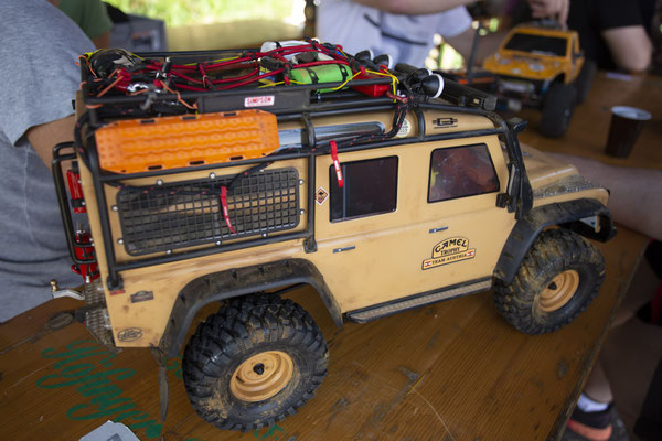 Wildlife Experience Amstetten 2019