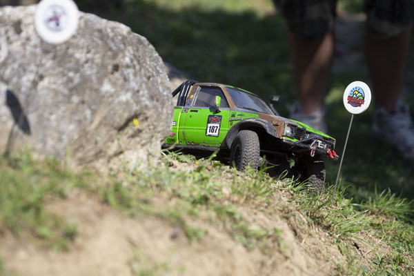 Wildlife Experience Amstetten 2019