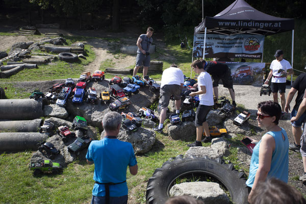 Wildlife Experience Amstetten 2019