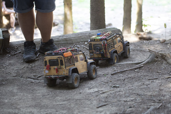 Wildlife Experience Amstetten 2019