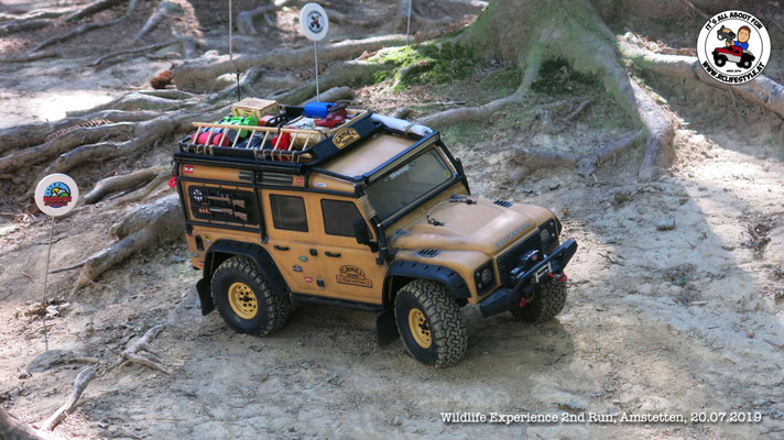 Wildlife Experience Amstetten 2019