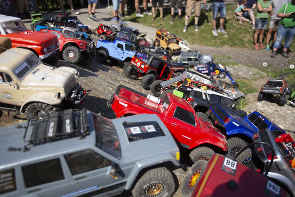 Wildlife Experience Amstetten 2019