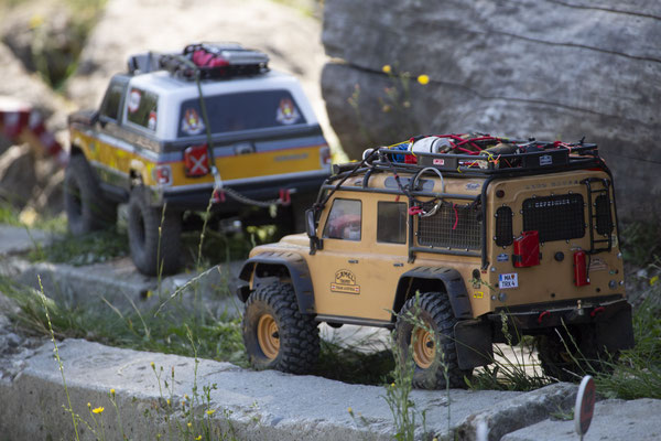 Wildlife Experience Amstetten 2019