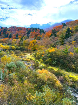 大山寺橋からの眺め
