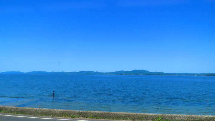 海