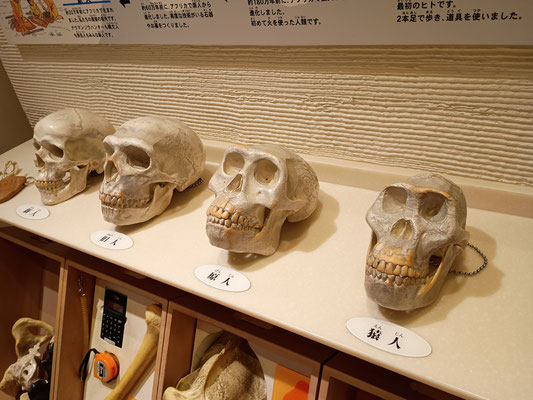こんなんとか