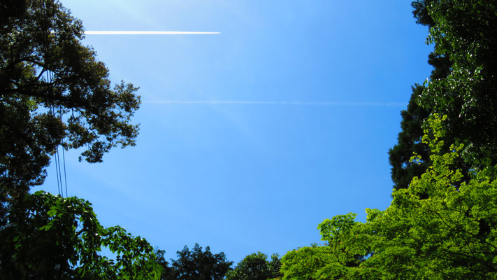 飛行機雲