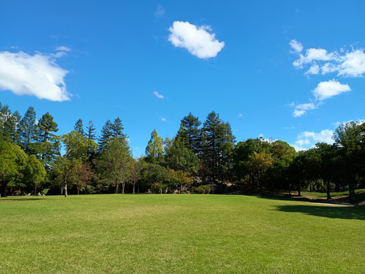 公園は手入れが行き届いてる。