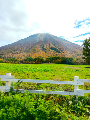 これも大山だ