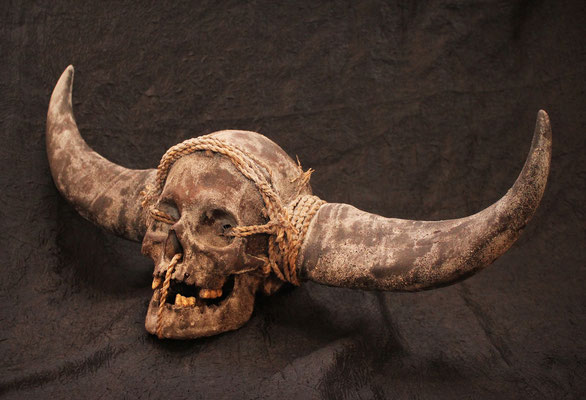 Cráneo Naga (R) Naga Skull