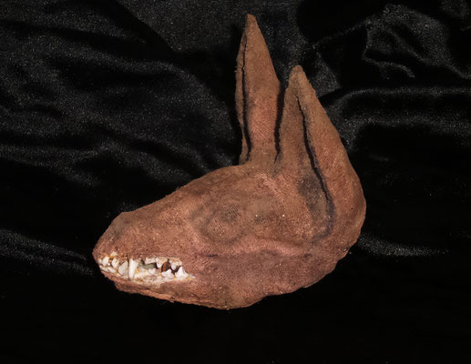 Mummified head Anubis (Egyptian) ✯ Cabeza Anubis momificada (Egipcia) Oddities