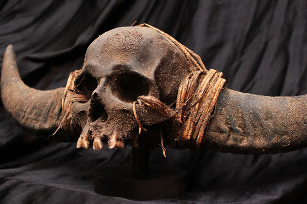 Cráneo ( NAGA ) Skull (R)