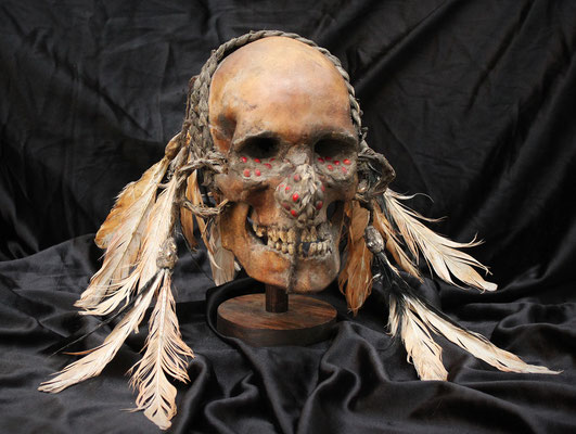 Cráneo - ASMAT - Skull
