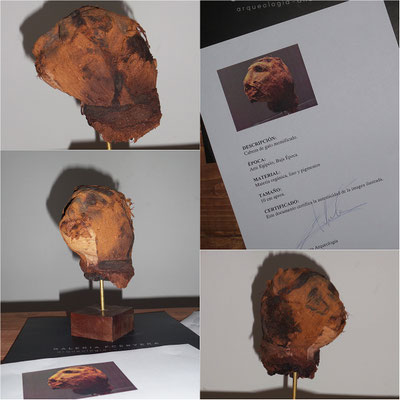 Cabeza gato momia egipto (100% Original - Certificado) ✯ Egypt mummy cat head (100% Original - Certificate)