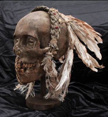 Cráneo - Asmat - Skull (R)