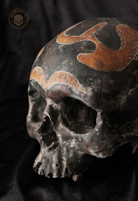 Dayak skull of the Kelabit subgroup