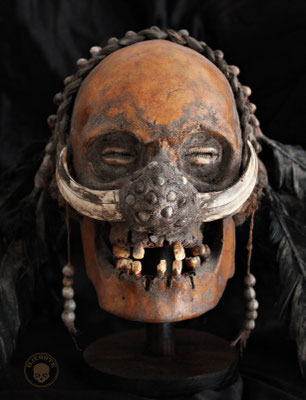 Cráneo - ASMAT - Skull