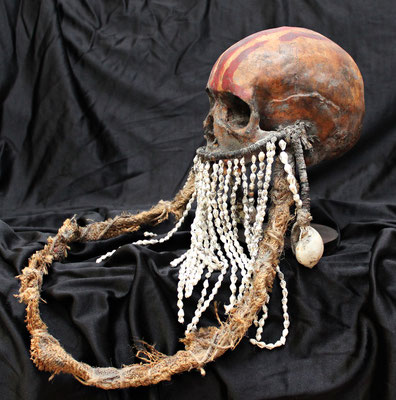 Andaman Skull