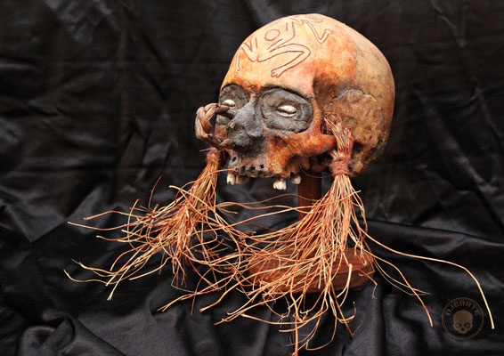 Palau/Palaos Islands skull - Palawuan