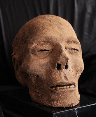 Egyptian mummified head / Cabeza momificada egipcia (oddities)