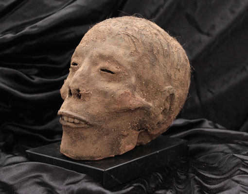 Mummy, mummified, Egypt, Museum, head / Momia, momificado, Egipto, cabeza. (oddities)-(Réplica)