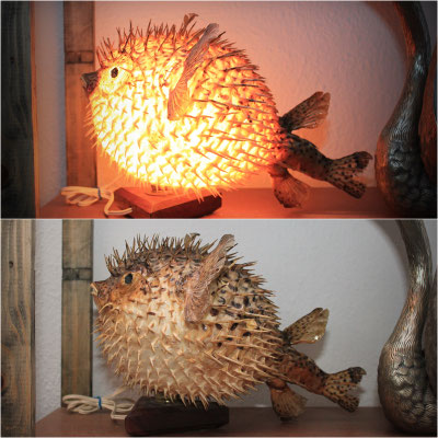 Antigua lampara pez globo / Old globefish lamp (Oddities)