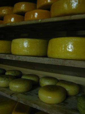 Käse und