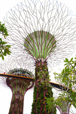 Gardens by the Bay