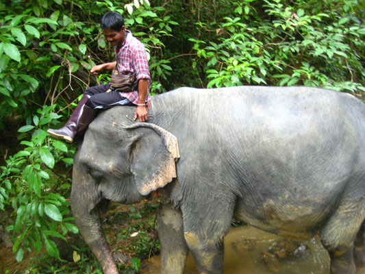 Khao Sok - National Park