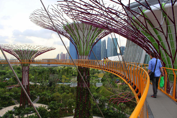 Gardens by the Bay