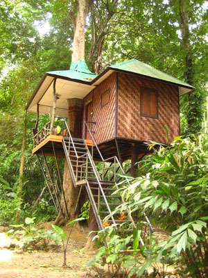 Khao Sok - National Park