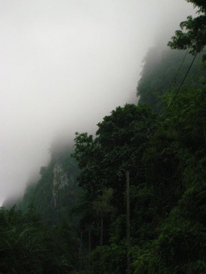 Khao Sok - National Park