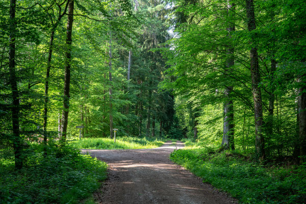 Die Wegkreuzung Täferhäuleweg, Heubergweg.