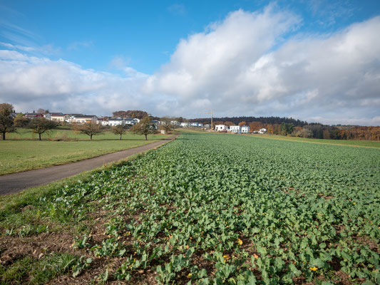 Blick auf das Neubaugebiet, am östlichen Ortsrand.