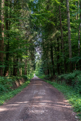 Der Heubergweg.