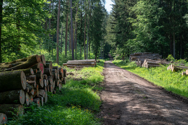 Der Täferhäuleweg.