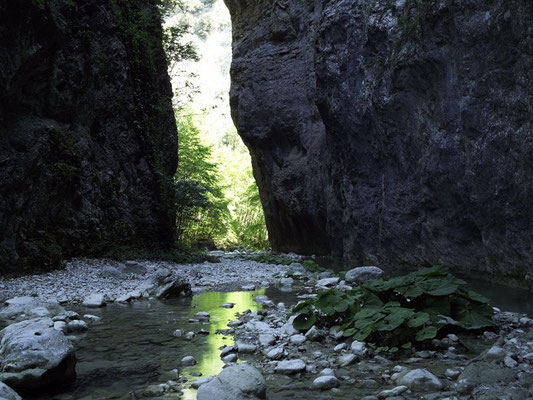 Gole del Salinello (TE)