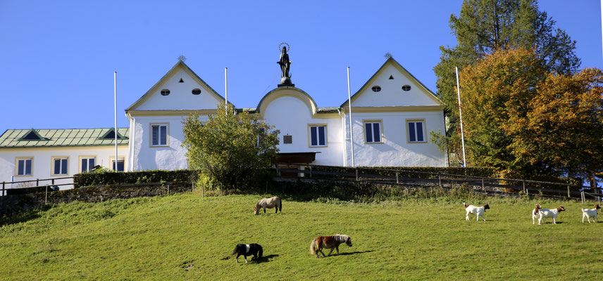 Chorausflug des Kirchenchors St. Clemens Eschenlohe nach Maria Eck und auf die Frauen-Insel im Chiemsee