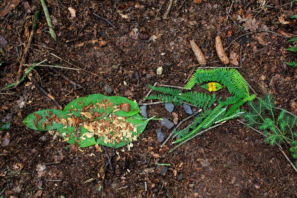  Land Art Projekt mit Kindern in Witten