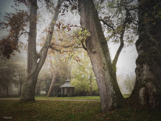 shelter from the storm.