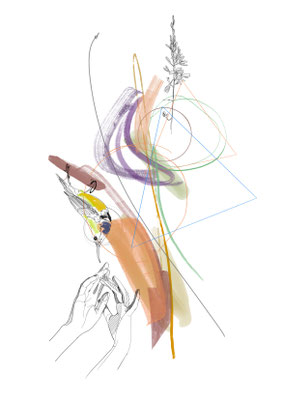 Bird 3