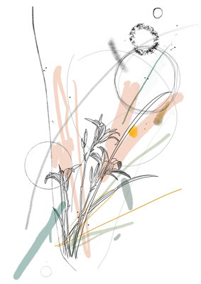 Lily 2