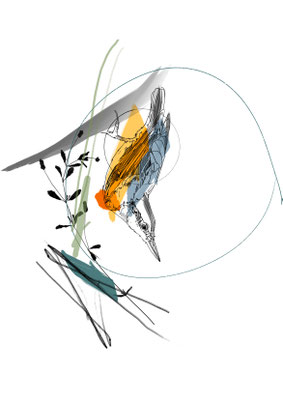 Bird 1
