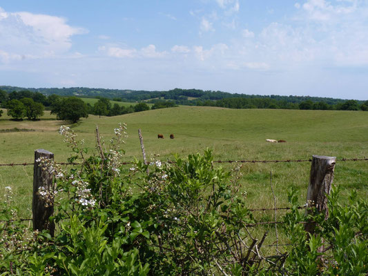 LES SAVONS DU COIN - Paysage LOT (46)