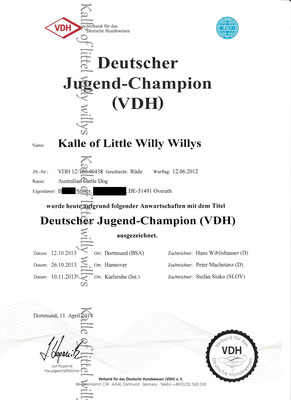 Deutscher Jugend Champion (VDH) 