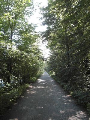 Flaucher - Blick nach Norden  - Juni 2015 