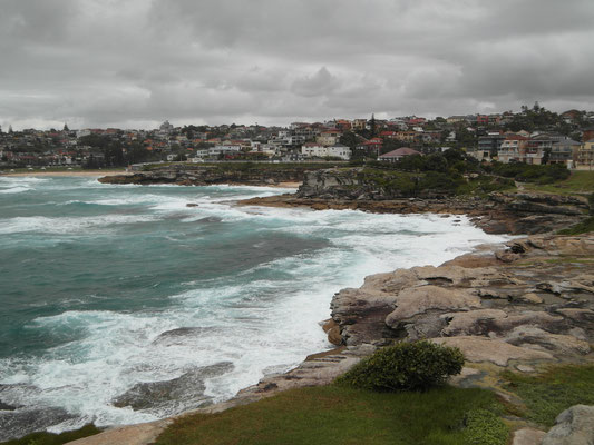 Von Bindi Beach zum Bronte Beach - Sydney - Februar 2015