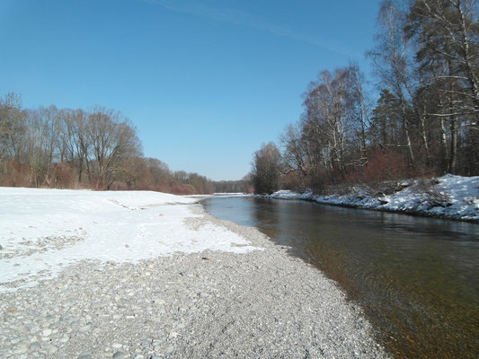 Flaucher - Februar 2015 